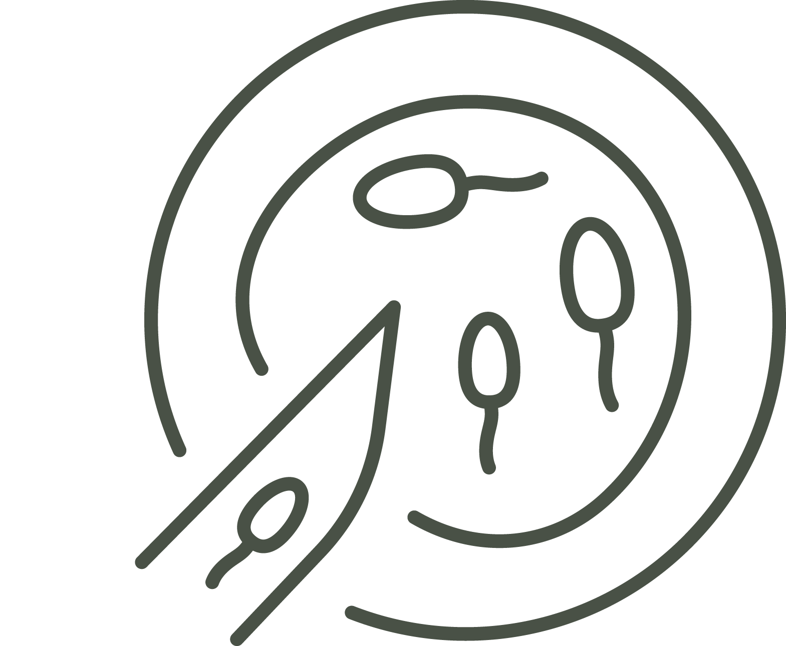 fryklunds-grafik_spermaprov-vit